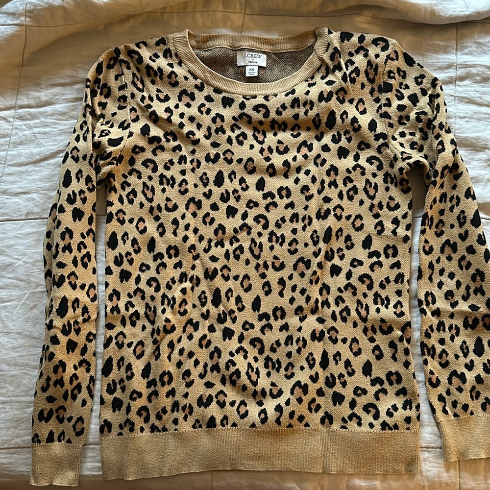 JCrew Teddie sweater